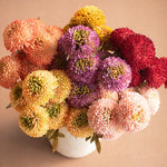 Artificial Red Ball Dahlia Bundle - Napa Valley Wildflower Co.