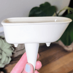 Bathtub Watering Spike - Napa Valley Wildflower Co.