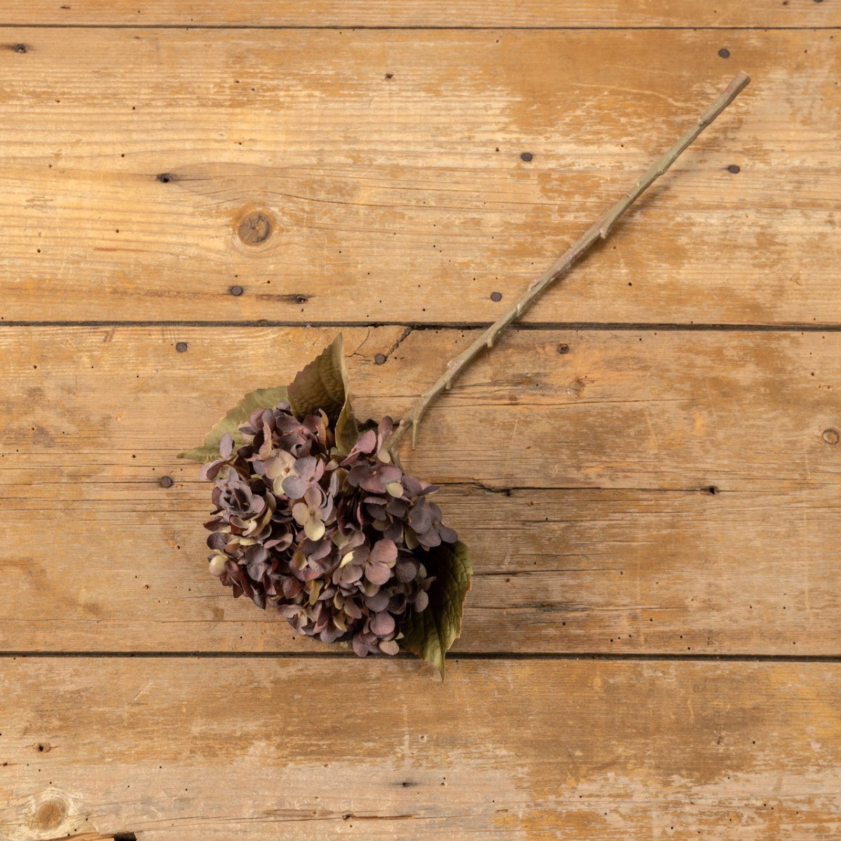 Beige & Purple Hydrangea Spray - Napa Valley Wildflower Co.