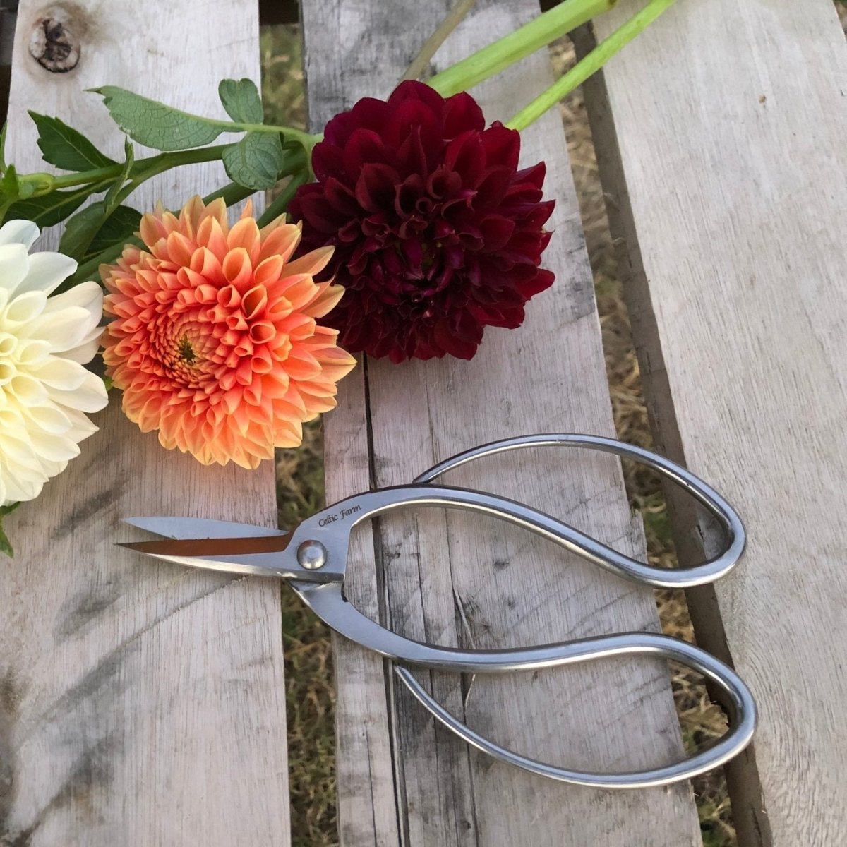 Best Garden Scissors and Snips - Napa Valley Wildflower Co.