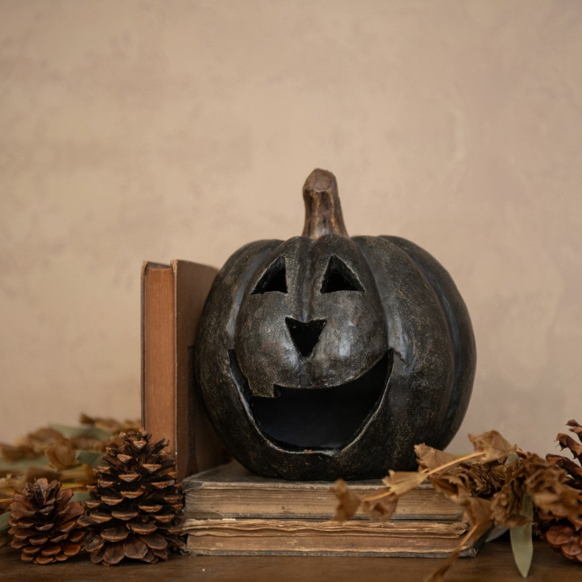 Black Big Mouth Pumpkins - Napa Valley Wildflower Co.