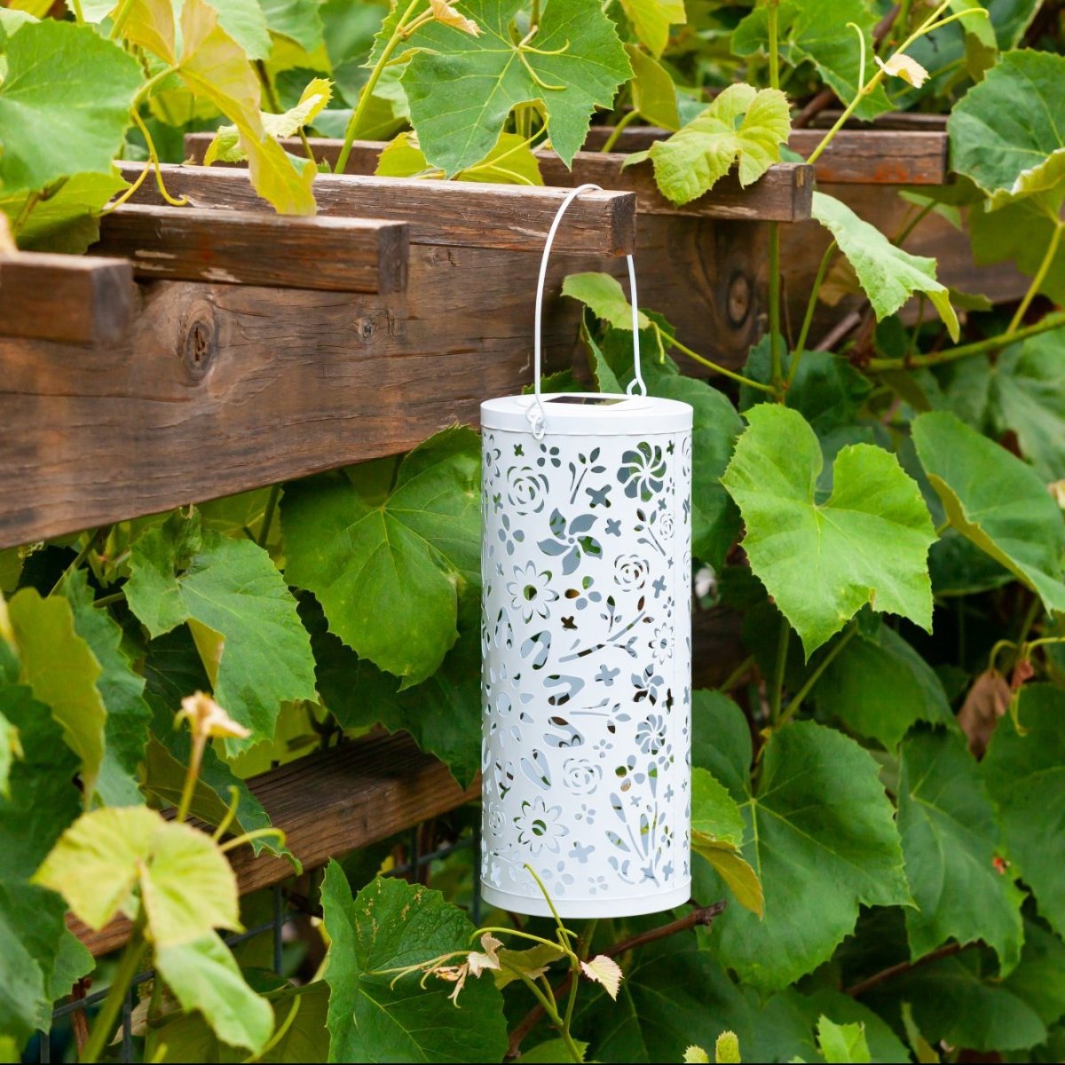 Bloom Punched Metal Solar Lantern – Classic White - Napa Valley Wildflower Co.