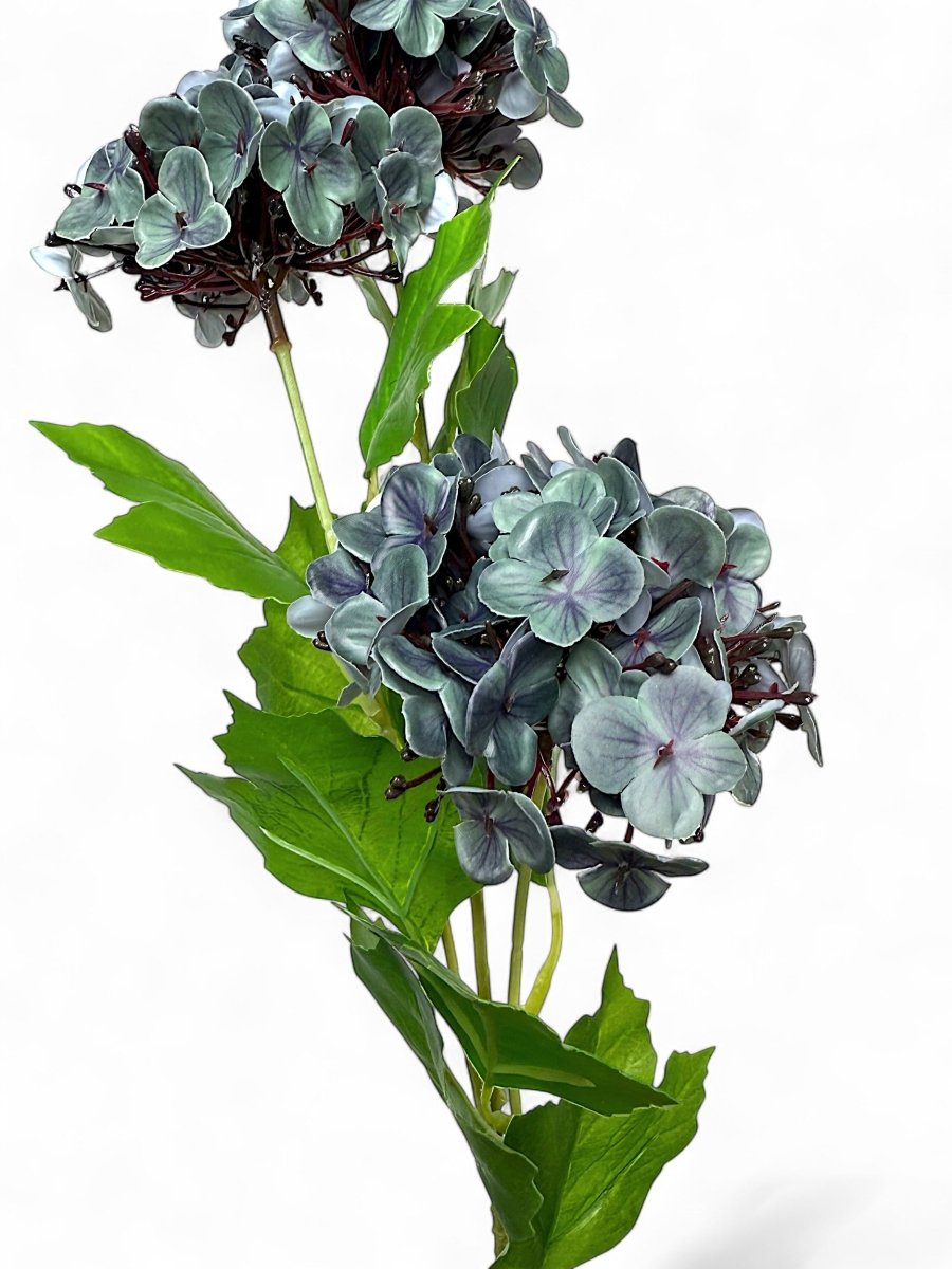 Blue Hydrangea Cluster Stem - Napa Valley Wildflower Co.