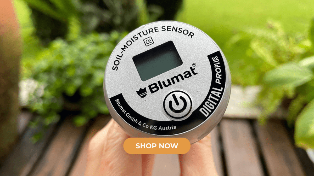 Blumat Digital Moisture Meter Kits - Napa Valley Wildflower Co.