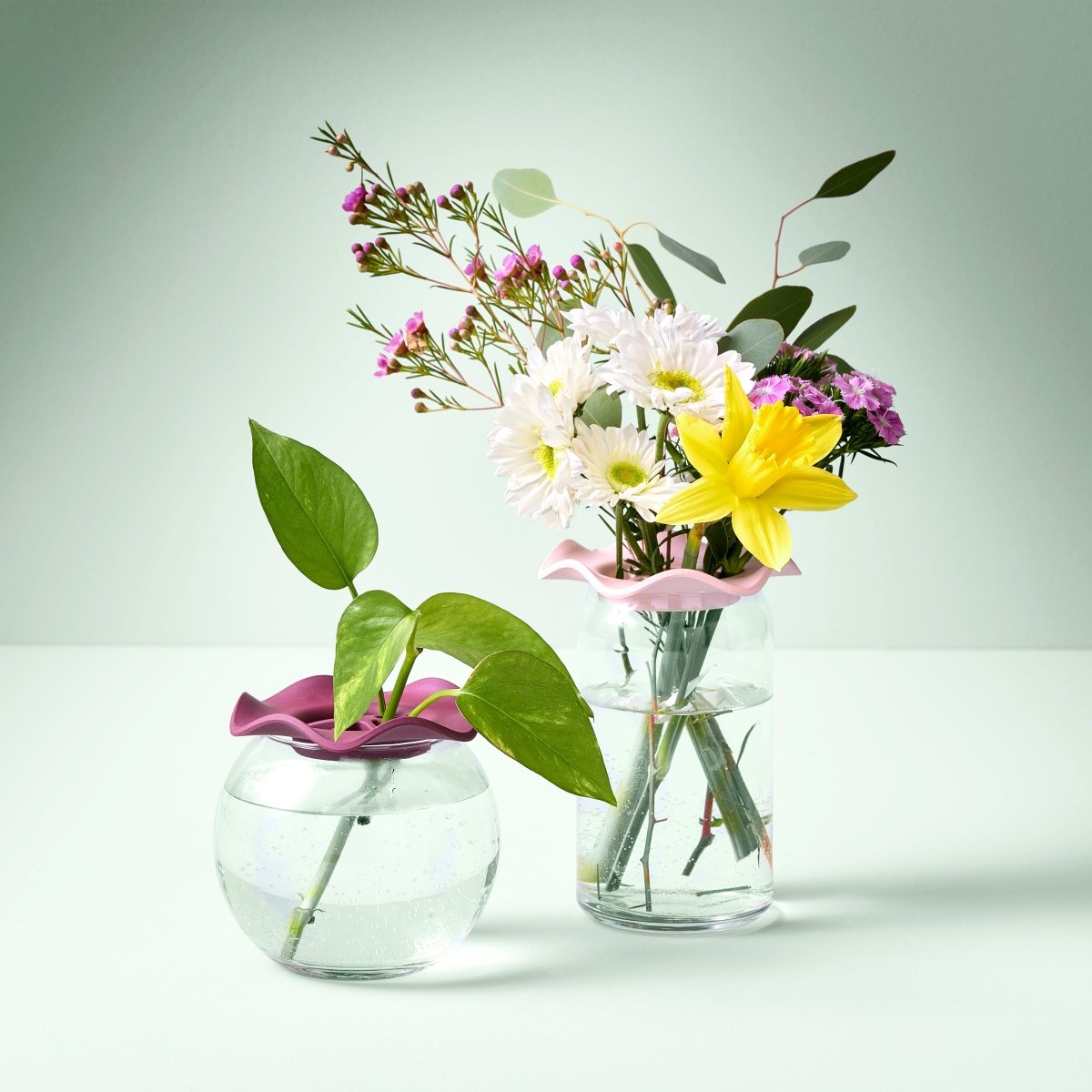 Botanical Keepers (Set of 2) - Napa Valley Wildflower Co.