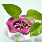 Botanical Keepers (Set of 2) - Napa Valley Wildflower Co.