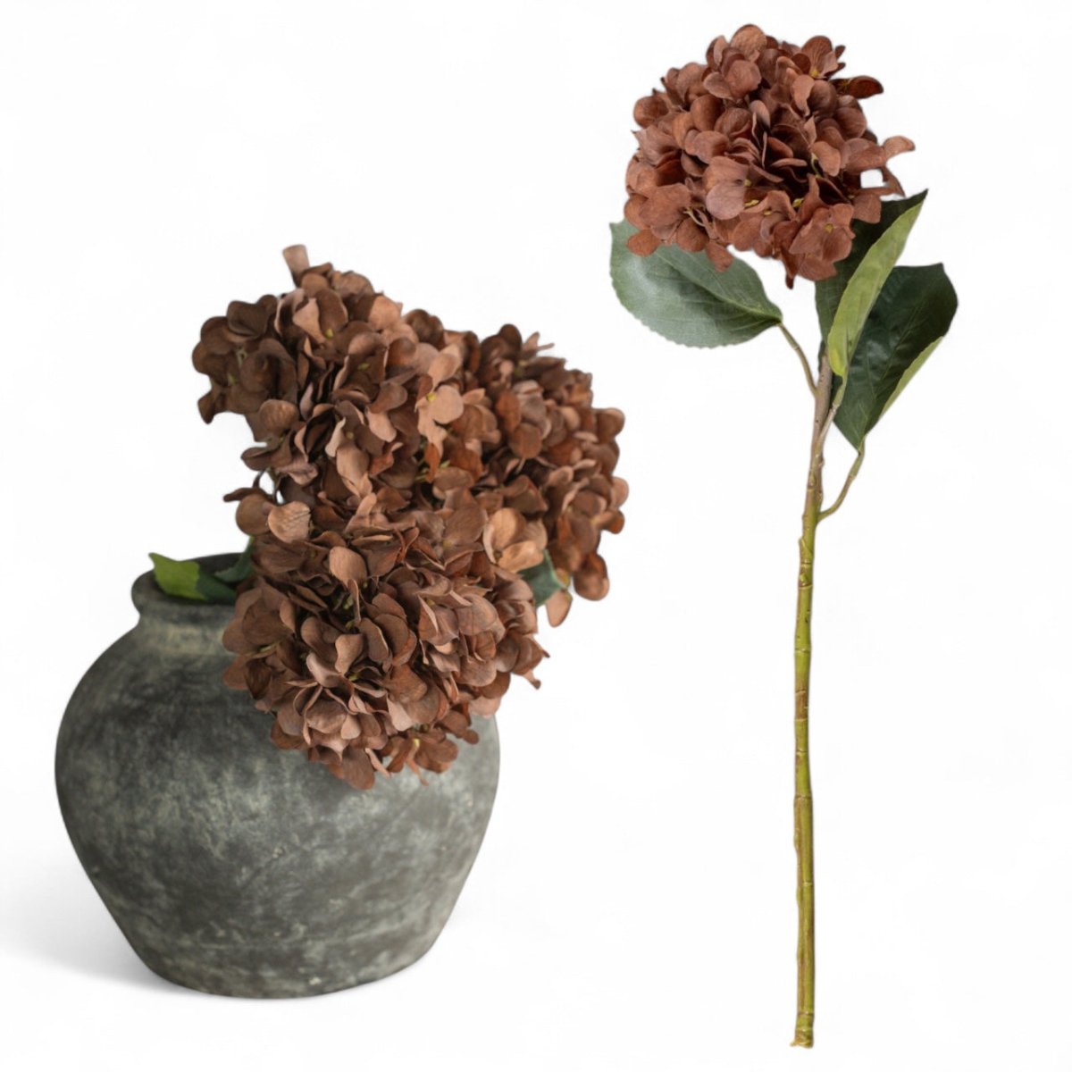 Brown Hydrangea Spray - Napa Valley Wildflower Co.