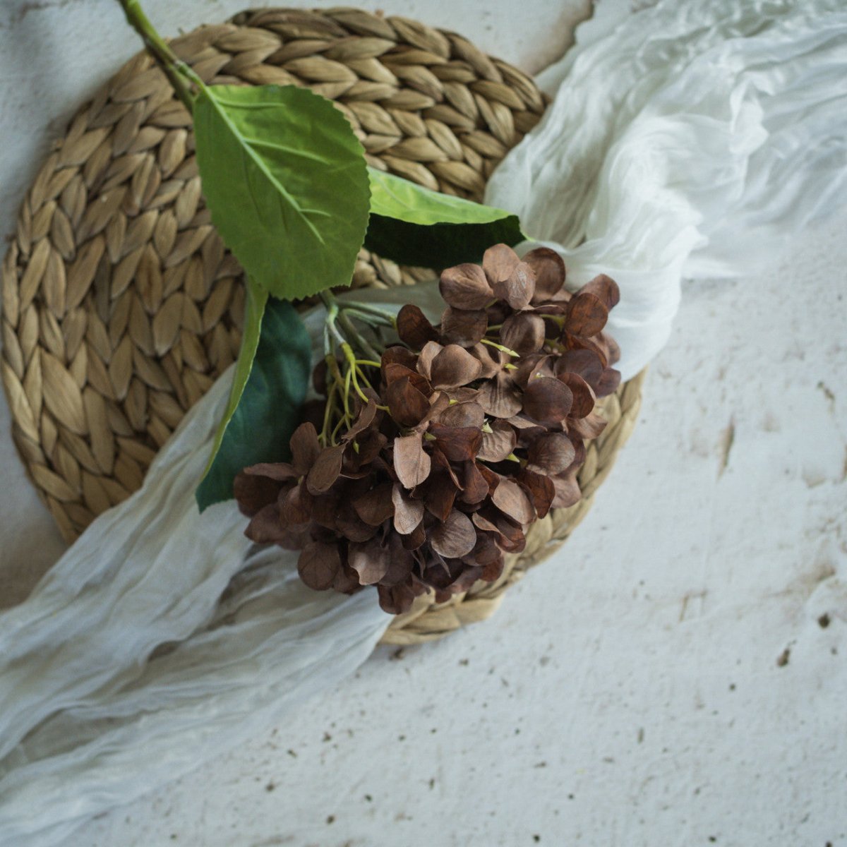 Brown Hydrangea Spray - Napa Valley Wildflower Co.