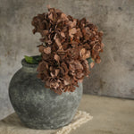 Brown Hydrangea Spray - Napa Valley Wildflower Co.