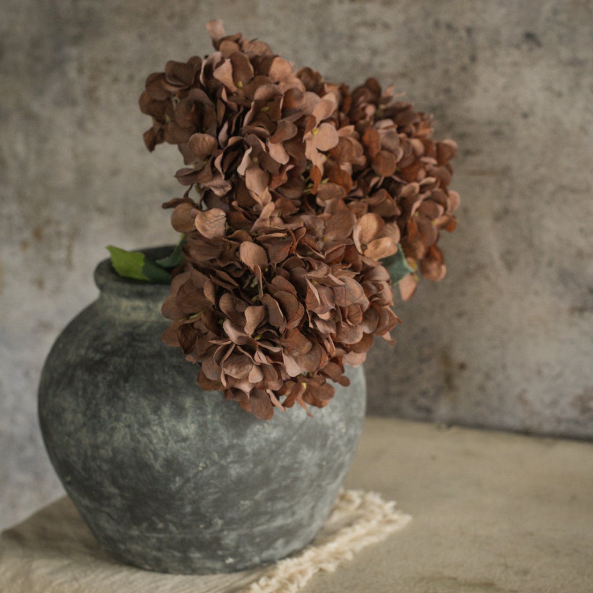 Brown Hydrangea Spray - Napa Valley Wildflower Co.