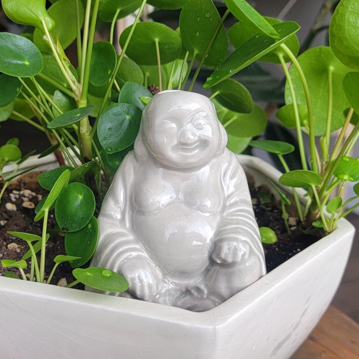 Buddha Ceramic Watering Spike - Napa Valley Wildflower Co.