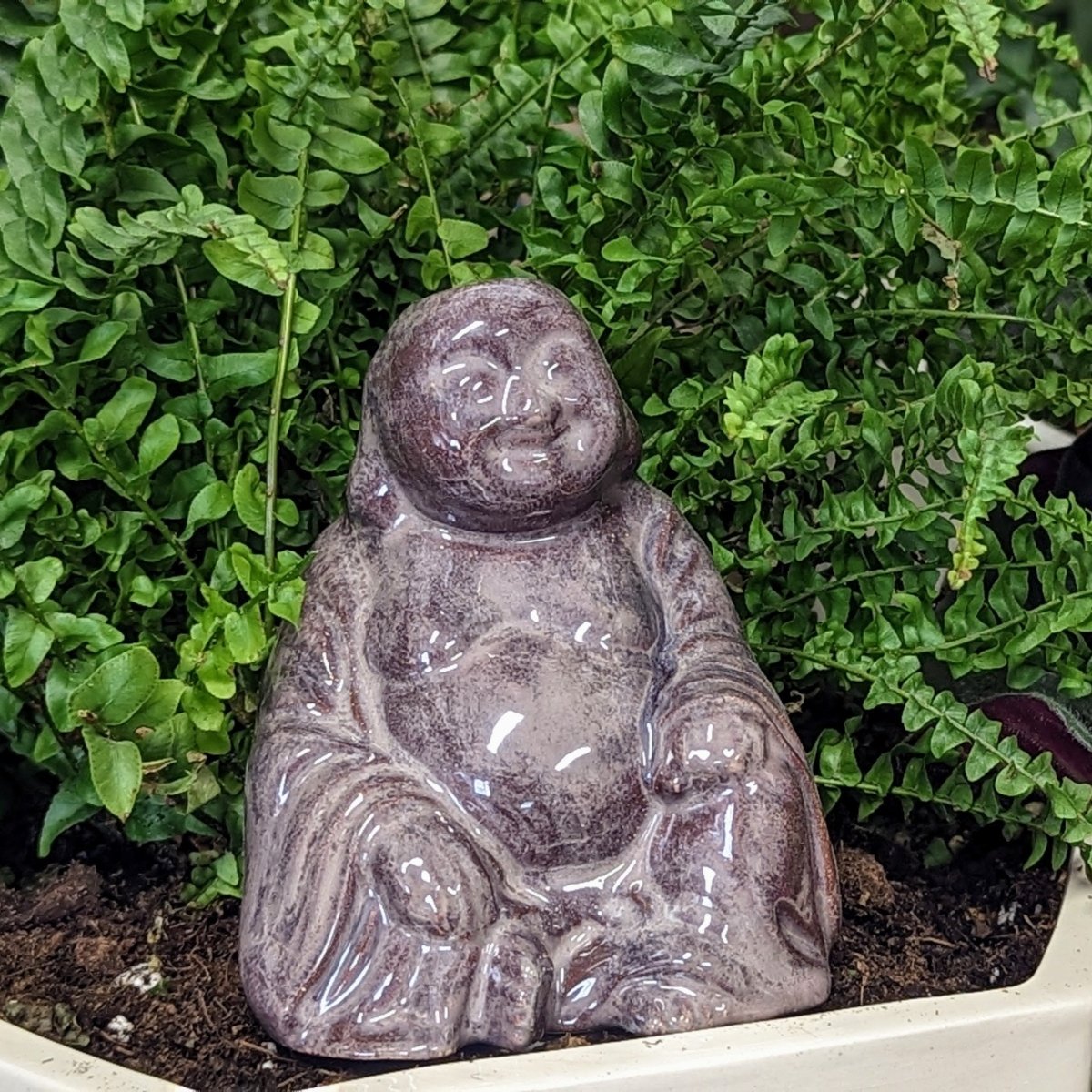 Buddha Ceramic Watering Spike - Napa Valley Wildflower Co.