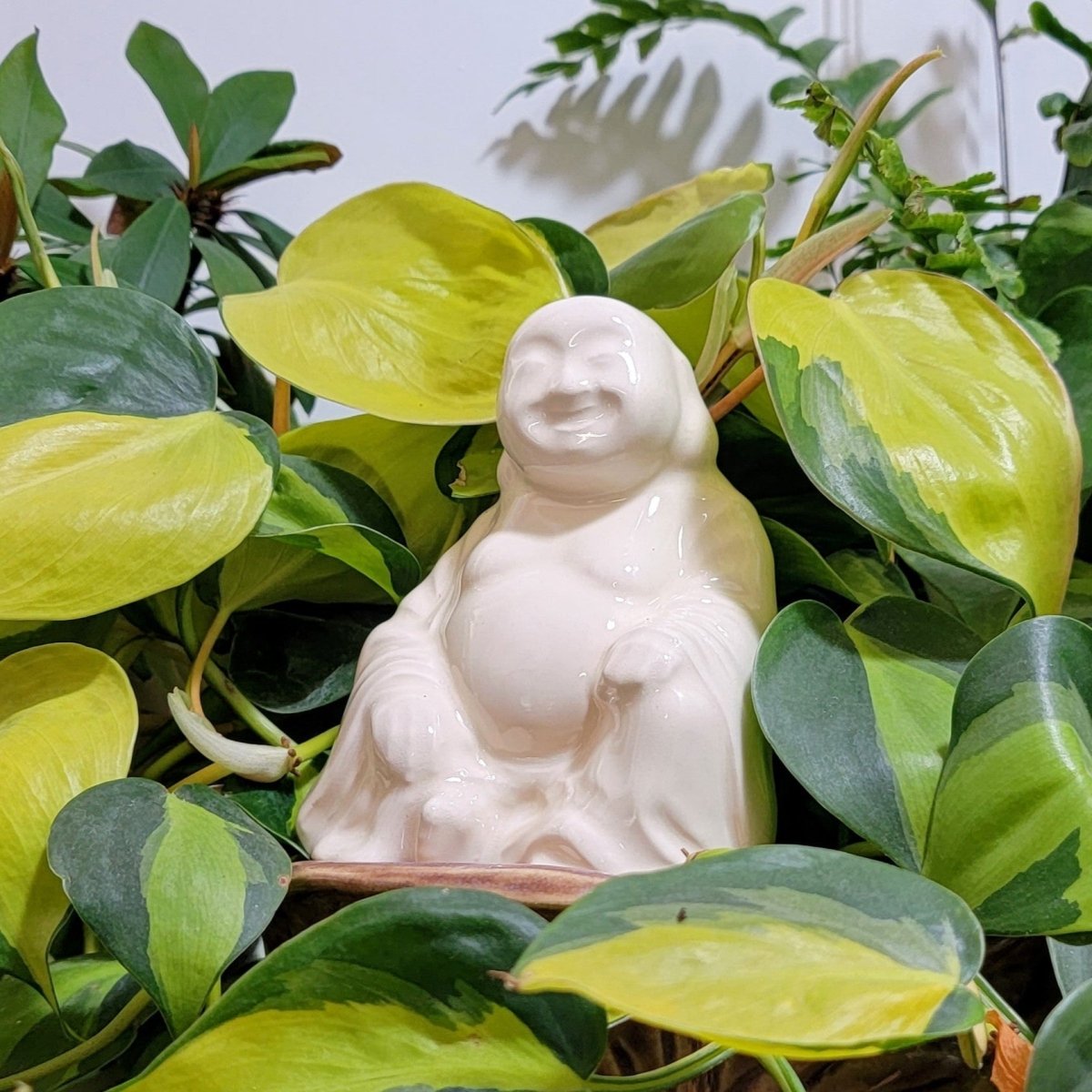 Buddha Ceramic Watering Spike - Napa Valley Wildflower Co.