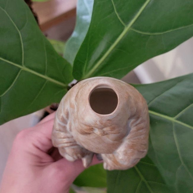 Buddha Ceramic Watering Spike - Napa Valley Wildflower Co.