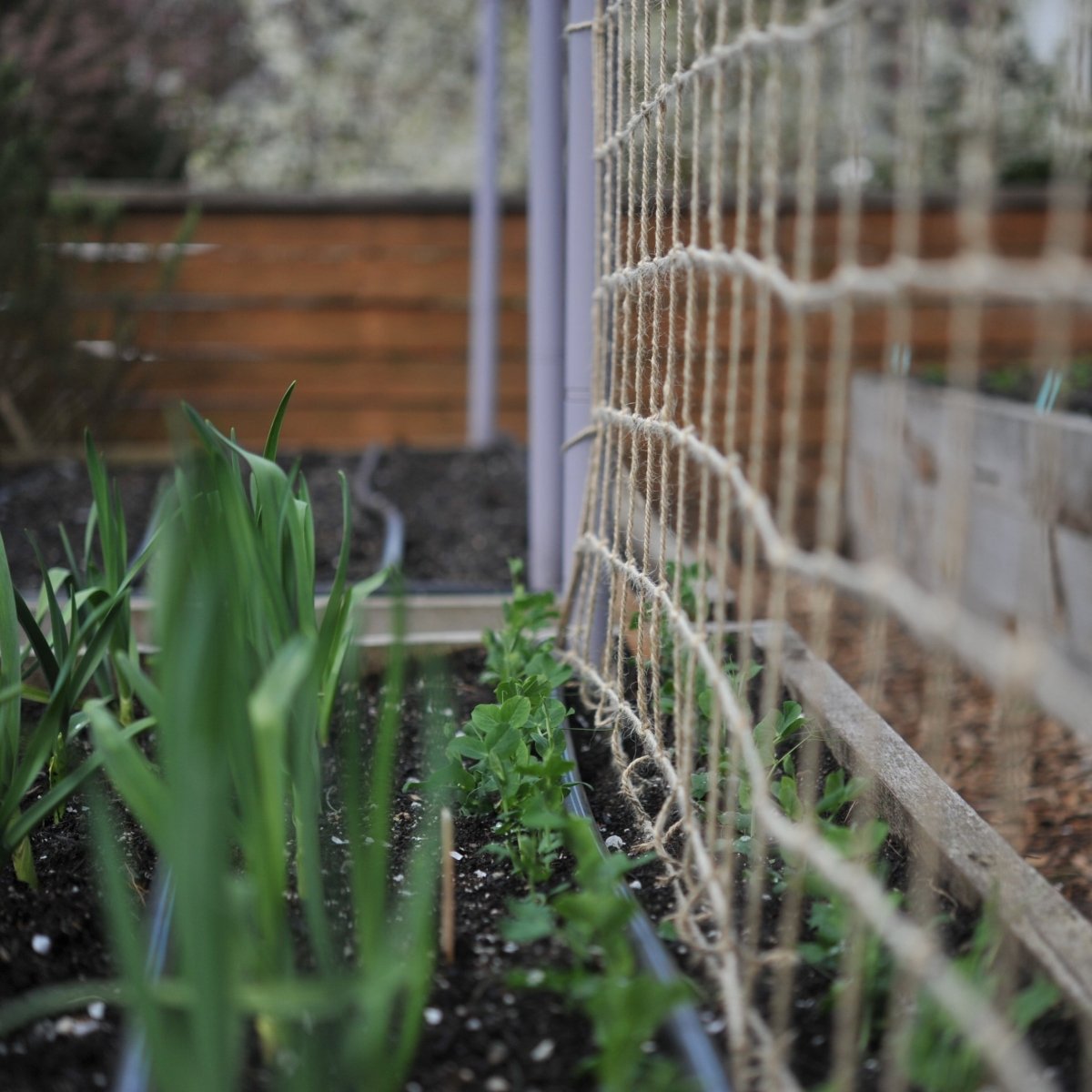Compostable Jute Garden Netting - Napa Valley Wildflower Co.