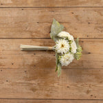 Cream Gerbera Daisy Bouquet - Napa Valley Wildflower Co.