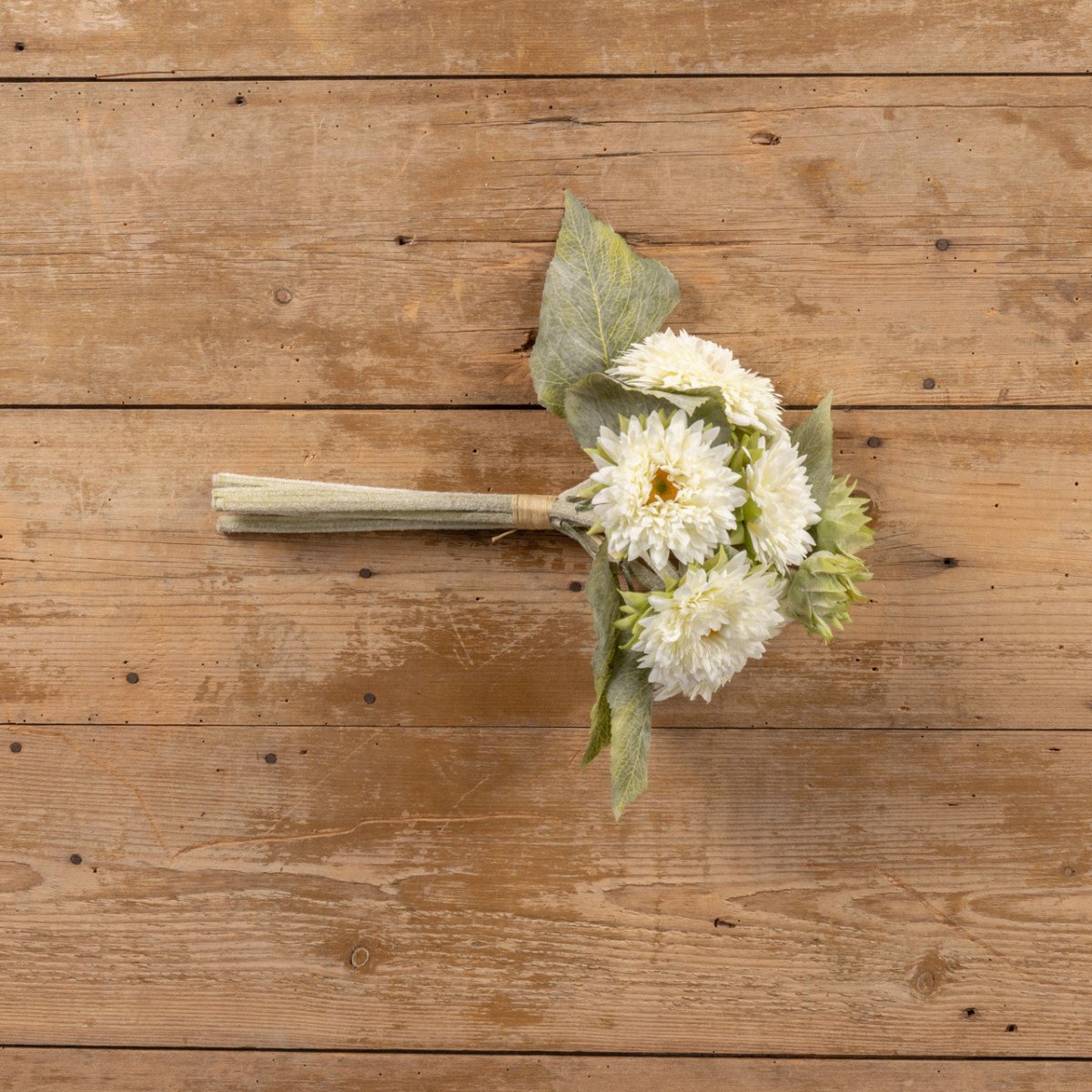 Cream Gerbera Daisy Bouquet - Napa Valley Wildflower Co.