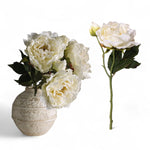 Cream Peony Stem Spray - Napa Valley Wildflower Co.