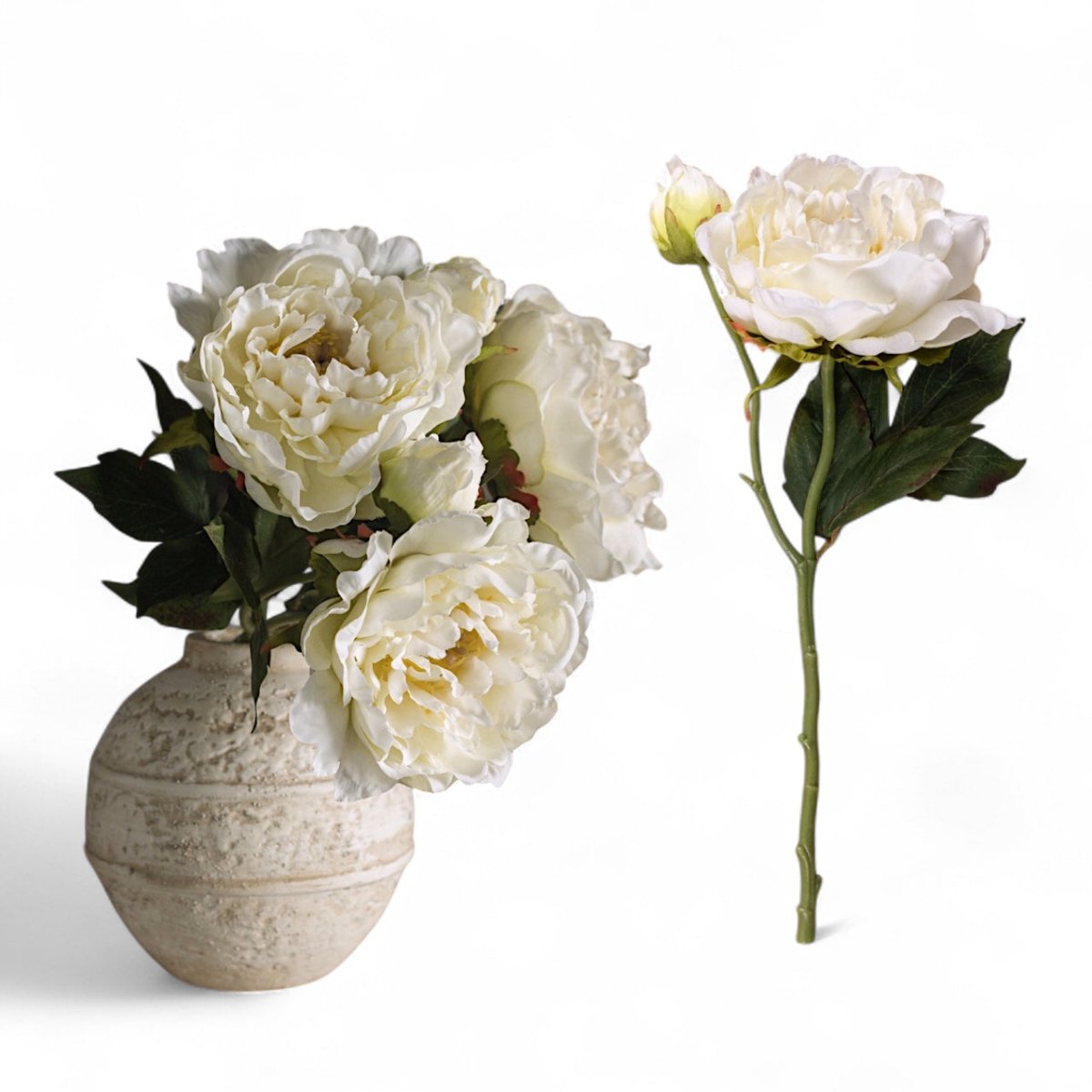 Cream Peony Stem Spray - Napa Valley Wildflower Co.