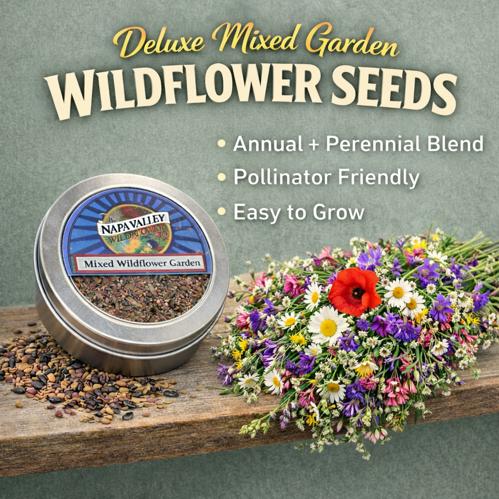 Deluxe Mixed Garden Wildflower Seed Blend 4 - oz. Tin - Napa Valley Wildflower Co.