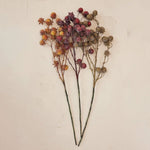 Distressed Faux Rose Hip Stem | 3 Colors - Napa Valley Wildflower Co.