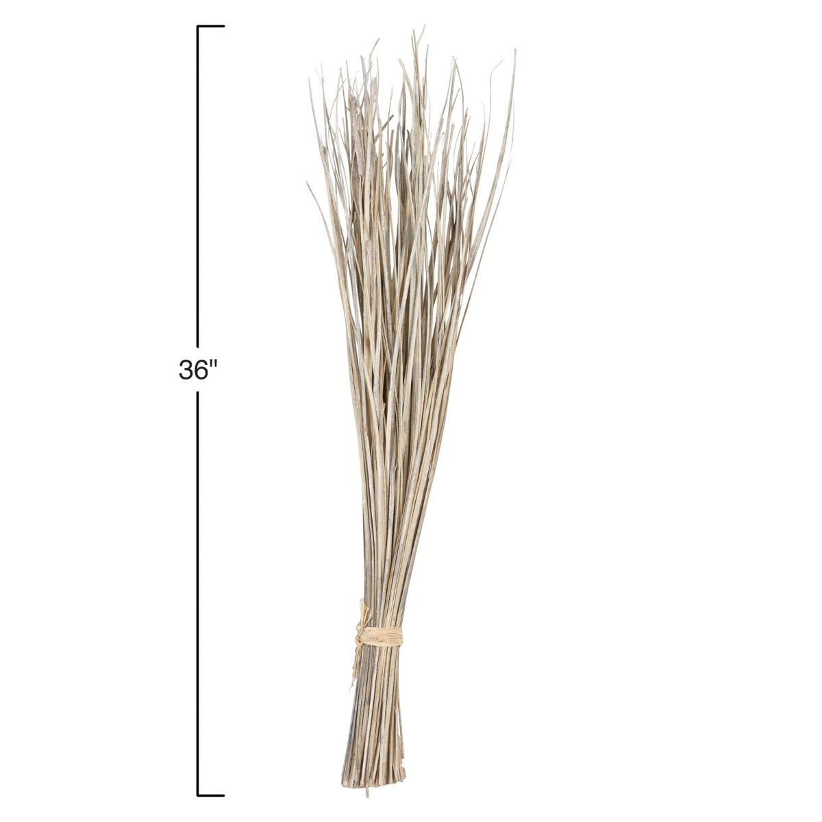 Dried Natural Date Palm Leaf Bunch - Napa Valley Wildflower Co.