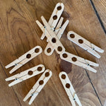 Effortless Plant Support: Beechwood Plant Clamps - Napa Valley Wildflower Co.
