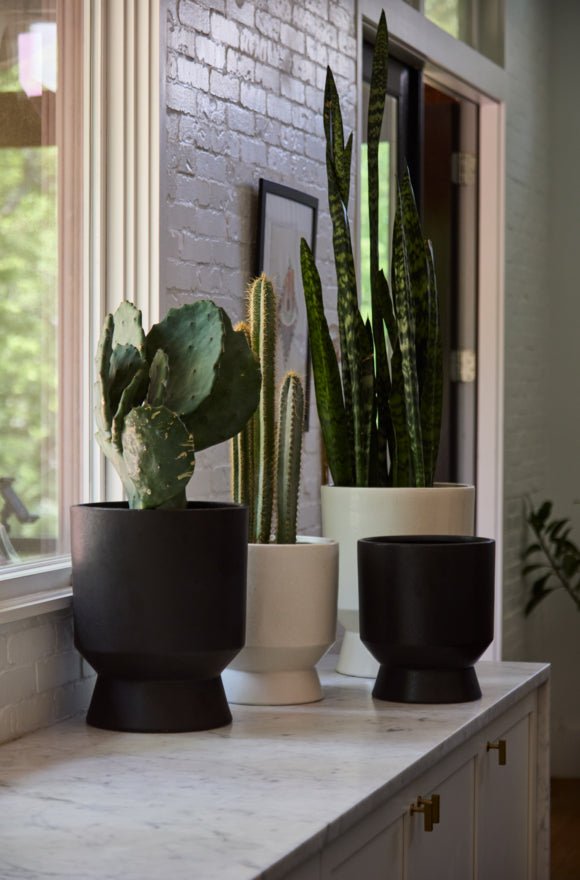 Elliott Planter Pot – Modern Minimalist Plant Container - Napa Valley Wildflower Co.
