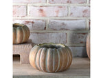 Fall Ombre Cement Pumpkin Planters | 3 Sizes - Napa Valley Wildflower Co.