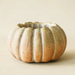 Fall Ombre Cement Pumpkin Planters | 3 Sizes - Napa Valley Wildflower Co.