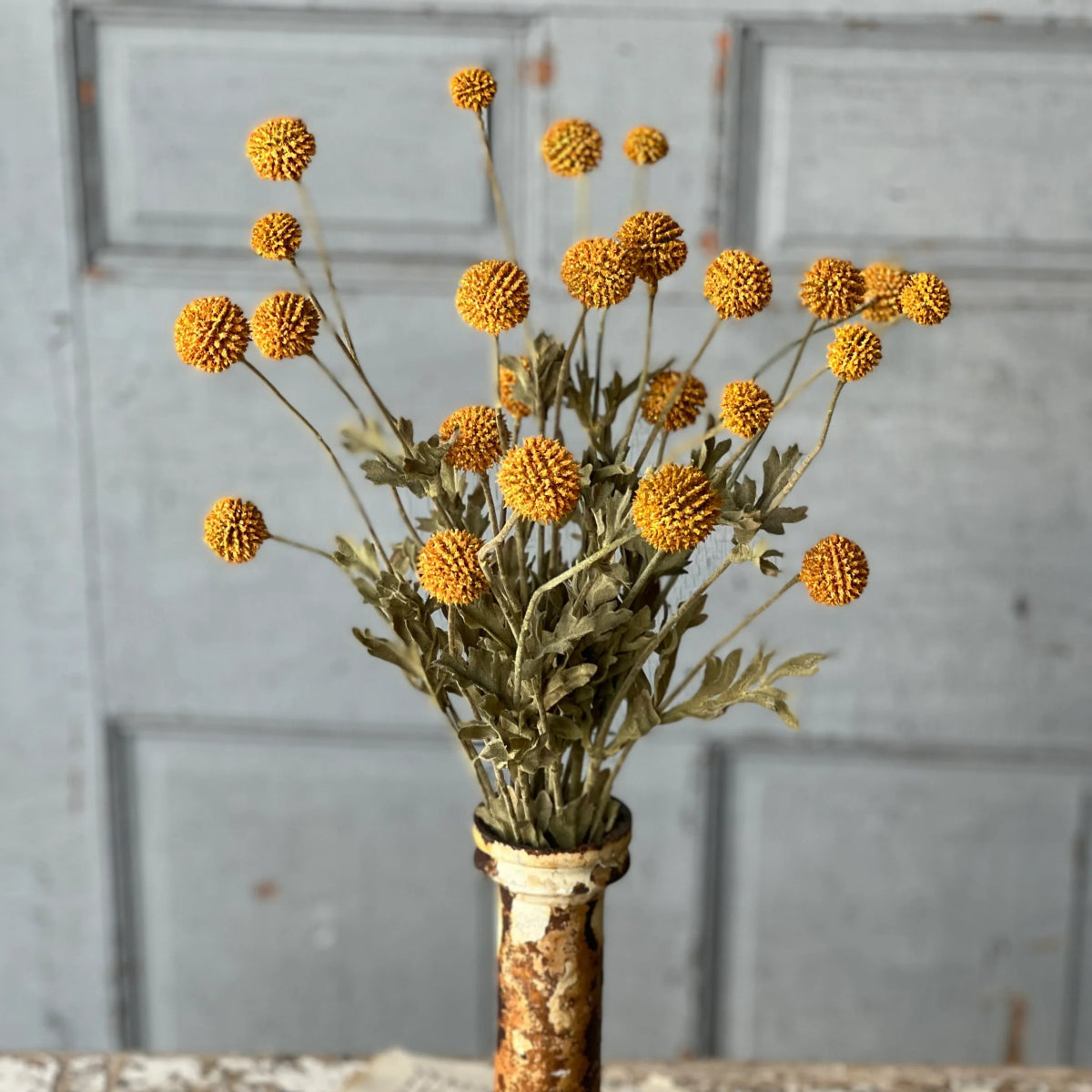 Fall Wind Dancer Bush - Napa Valley Wildflower Co.
