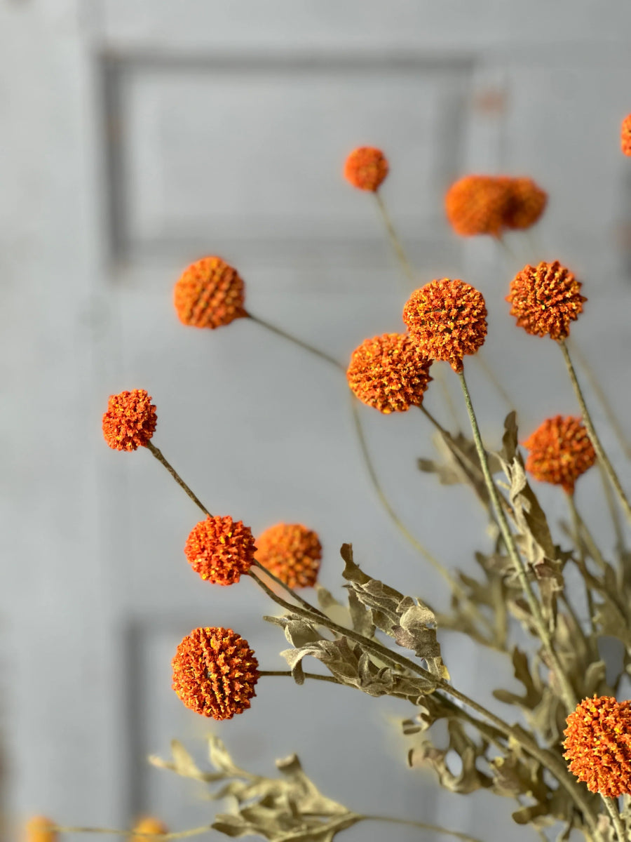 Fall Wind Dancer Bush - Napa Valley Wildflower Co.