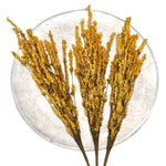 Faux Dried Autumn Wheat & Botanica - Napa Valley Wildflower Co.