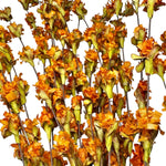 Faux Dried Autumn Wheat & Botanica - Napa Valley Wildflower Co.