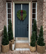 Faux Norfolk Pine Wreath with Red Velvet Bow - Napa Valley Wildflower Co.