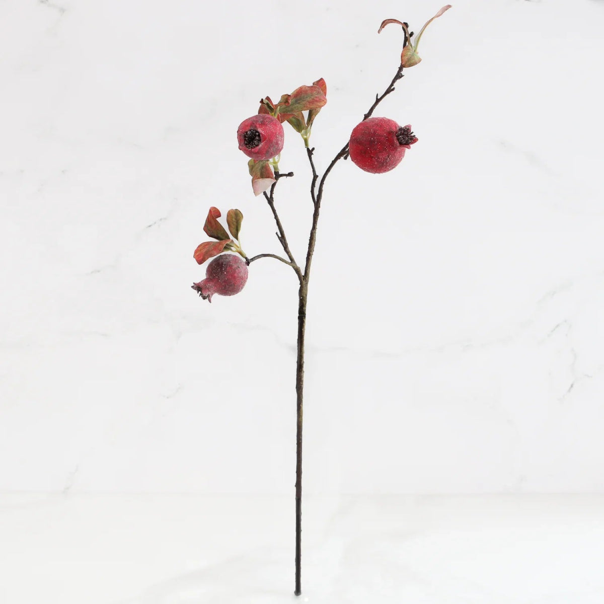 Faux Pomegranate Stem with Leaves - Napa Valley Wildflower Co.