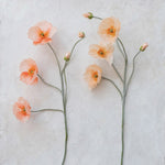 Faux Poppy Flower Pick | 2 Colors - Napa Valley Wildflower Co.