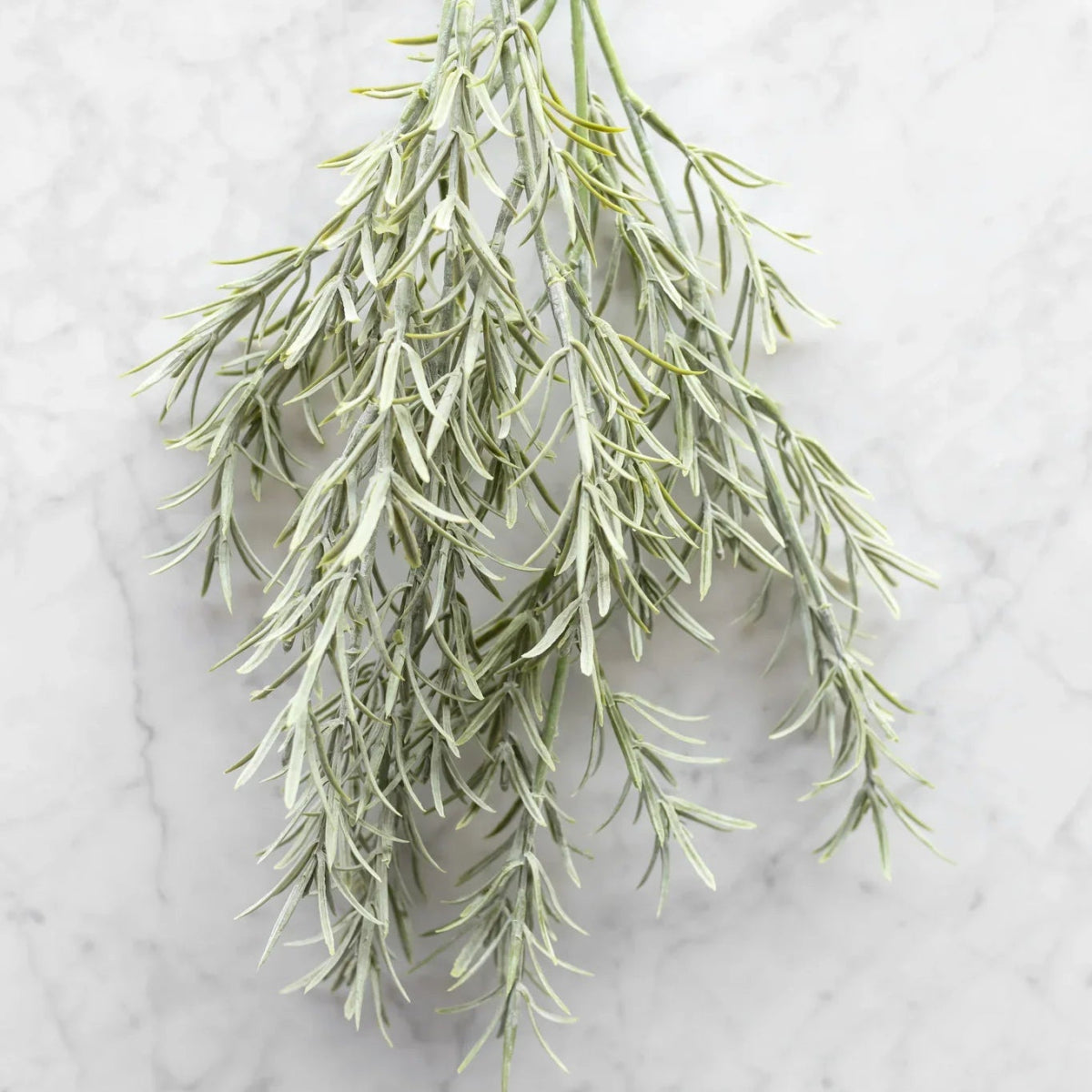 Faux Rosemary Stem - Napa Valley Wildflower Co.