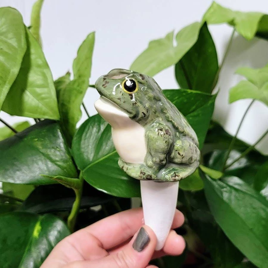 Frog Ceramic Watering Spike - Napa Valley Wildflower Co.