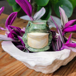 Frog Ceramic Watering Spike - Napa Valley Wildflower Co.