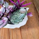 Frog Ceramic Watering Spike - Napa Valley Wildflower Co.