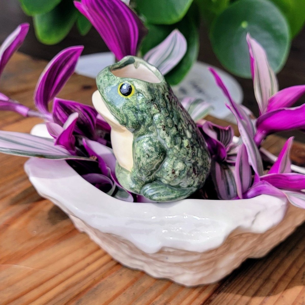 Frog Ceramic Watering Spike - Napa Valley Wildflower Co.