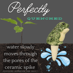Frog Ceramic Watering Spike - Napa Valley Wildflower Co.