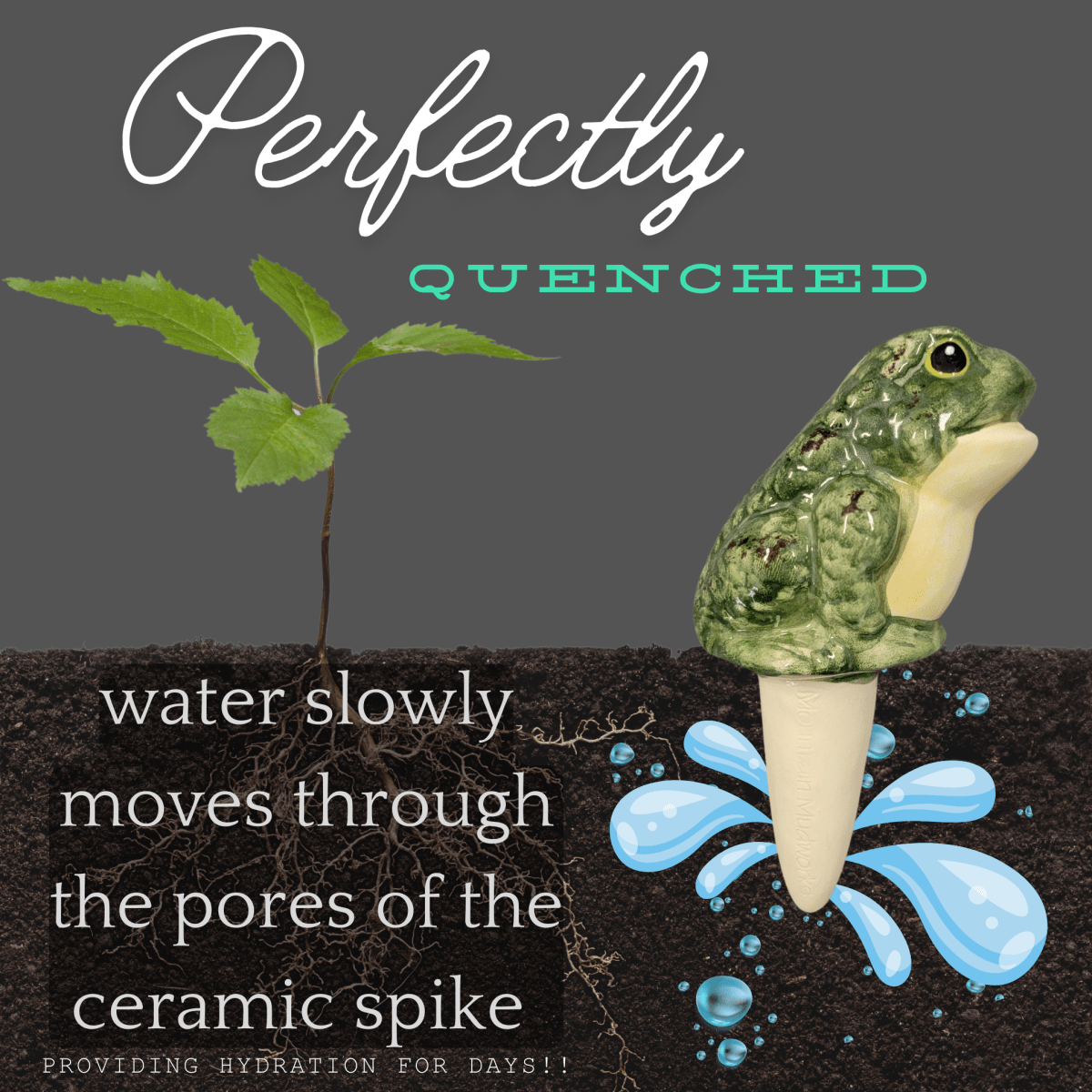 Frog Ceramic Watering Spike - Napa Valley Wildflower Co.