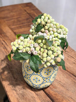 Frosted Green Berry Bouquet Bundle - Napa Valley Wildflower Co.
