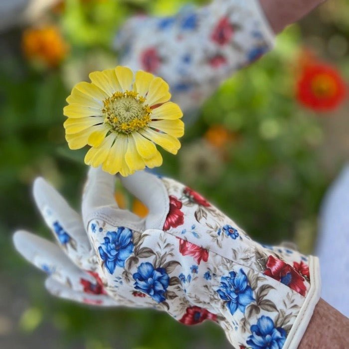 Garden Gift Box: Gloves and Snips - Napa Valley Wildflower Co.
