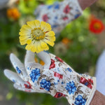 Garden Gift Box: Gloves and Snips - Napa Valley Wildflower Co.