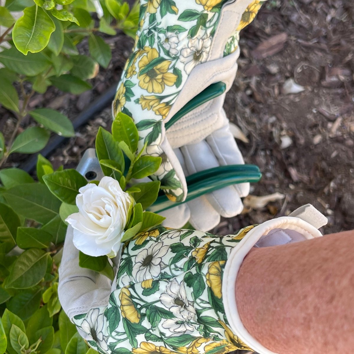 Garden Gift Box: Gloves and Snips - Napa Valley Wildflower Co.
