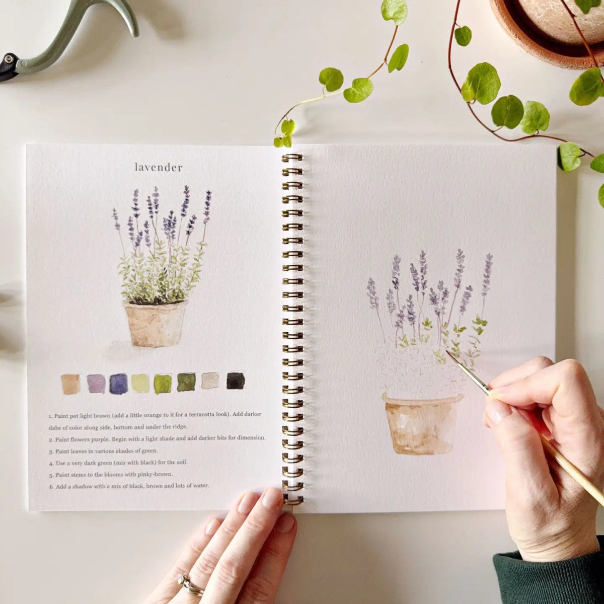 Garden Watercolor Workbook - Napa Valley Wildflower Co.