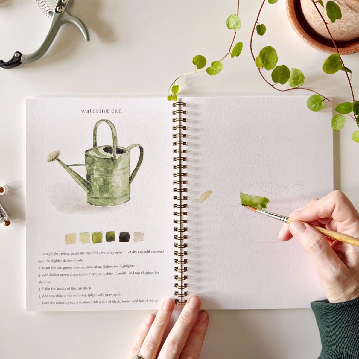 Garden Watercolor Workbook - Napa Valley Wildflower Co.